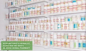 Acupuncturist & Herbalist, Olivia Wan-Mei Woo's In-House Herbal Pharmacy